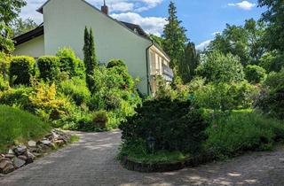 Wohnung mieten in 65199 Dotzheim, Gepflegtes Appartment in Wiesbaden mit Gartenbenutzung direkt am Waldrand