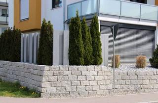 Wohnung mieten in Adam-Ries-Straße, 88471 Laupheim, Attraktive 3,5-Zimmer-Wohnung mit Wintergarten und Garten