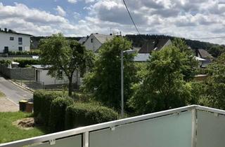 Einfamilienhaus kaufen in 56206 Hilgert, Geräumiges Einfamilienhaus mit Anliegerwohnung & Garten in Hilgert