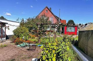 Haus kaufen in 21445 Wulfsen, Ihr Haus mit Einliegerwohnungund Gemüsegarten in Wulfsen!