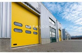 Gewerbeimmobilie mieten in 68535 Edingen-Neckarhausen, PROVISIONSFREI: Ca. 4.200 qm Lager- / Produktionsfläche zu vermieten!