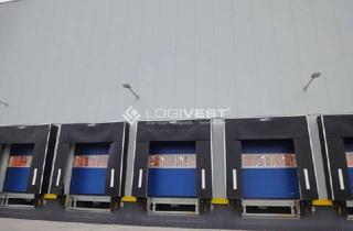 Büro zu mieten in 63303 Dreieich, Lager- und Logistikimmobilie in Dreieich mit viel Bürofläche