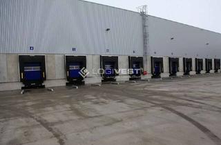 Büro zu mieten in 63303 Dreieich, Lager- und Logistikimmobilie in Dreieich mit viel Bürofläche