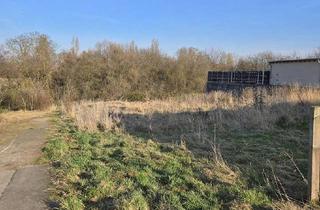 Grundstück zu kaufen in 55450 Langenlonsheim, Schuch Immobilien – Großes Baugrundstück in ruhiger Lage von Langenlonsheim