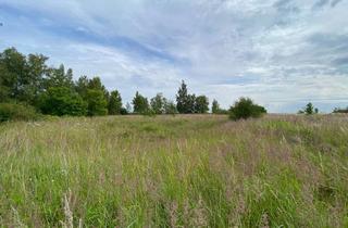 Immobilie kaufen in 38373 Süpplingen, Grundstücksflächen einer Deponie in Süpplingen (Landkreis Helmstedt)