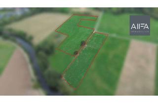 Gewerbeimmobilie kaufen in 41849 Wassenberg, AllFa - Landwirtschaftlich nutzbare Fläche im Naturschutzgebiet "Untere Ruraue"!