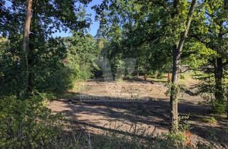 Immobilie kaufen in 38518 Gifhorn, ** Exklusives Baugrundstück **