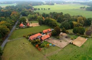 Bauernhaus kaufen in 29553 Bienenbüttel, Bienenbüttel - Anwesen mit Stallgebäuden, großes Bauernhaus, 2,7 ha Weide