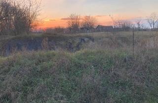 Haus kaufen in 97633 Sulzfeld, Sulzfeld - Mein kleines Häuschen mit dem großen Grundstück