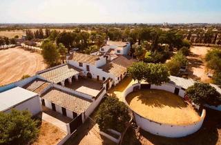 Villa kaufen in 48607 Ochtrup, Ochtrup - Wunderschöne andalusische Finca