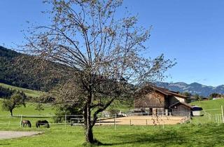 Wohnung kaufen in 87541 Bad Hindelang, Hochparterre Wohlfühlwohnung im Hotel "Die Gams" in Bad Hindelang