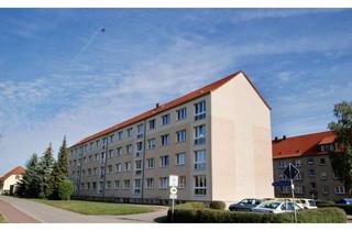 Wohnung mieten in Straße Der Jugend 8-11, 04886 Arzberg, Traumhafte 3-Zimmer-Wohnung in Arzberg – frisch saniert & sofort bezugsbereit!