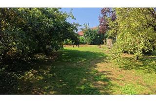 Einfamilienhaus kaufen in Hintergasse, 76774 Leimersheim, Kaufen ohne Maklercourtage !! Gepflegtes Einfamilienhaus, 6 Zi., ca. 151 m² auf 1030 qm Grundstück.