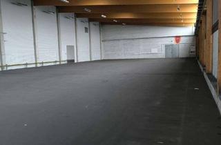 Gewerbeimmobilie mieten in 21502 Geesthacht, Vielseitig nutzbare und zum Teil beheizbare Lagerhalle in Geesthacht