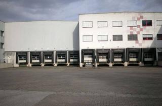 Büro zu mieten in 55411 Bingen, —— Januar 2026 verfügbar ++++ Logistik-/Hallen-/Bürofläche 3.900 bis 9.000 qm zu vermieten +++++