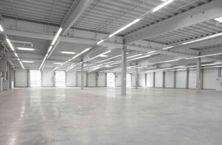 Gewerbeimmobilie mieten in 36251 Bad Hersfeld, — Kurzfristig verfügbar ++ Logistik-/Produktions-/Hallenfläche 15.000-30.000 qm zu vermieten +++++
