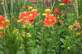 Grundstück zu kaufen in 22453 Niendorf, Großzügiges Baugrundstück im grünen Hamburg-Niendorf