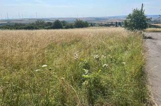 Grundstück zu kaufen in Schillerhain, 67292 Kirchheimbolanden, Wunderschönes Grundstück in Südlage