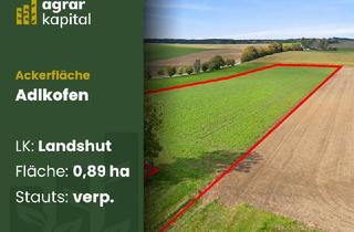 Grundstück zu kaufen in 84166 Adlkofen, 0,89 ha Ackerland – eigenständig nutzbar, gute Zufahrt, verpachtet in Adlkofen (LK Landshut)
