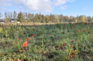 Grundstück zu kaufen in Zur Heide, 48429 Rheine, Traumhaftes Baugrundstück in Rheine-Eschendorf