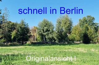 Grundstück zu kaufen in 15746 Groß Köris, Schnell in die Berliner City - Top Lage für Pendler im Süden Berlins