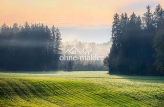 Immobilie kaufen in Alter Postweg 66, 19294 Neu Kaliß, Erschlossenen, sofort bebaubar. Schönes Grundstück in ruhiger Lage, Verhandlungsbasis