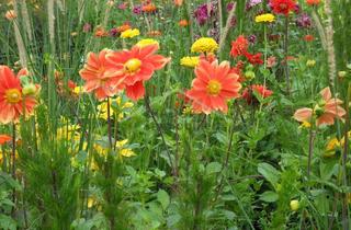 Garagen kaufen in 22453 Hamburg, Großzügiges Baugrundstück im grünen Hamburg-Niendorf