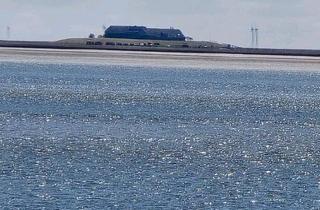 Haus kaufen in 25863 Langeneß, Langeneß - Wohn u. Wirtschaftsgebäude mit Weitblick