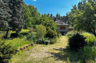 Haus kaufen in 03246 Crinitz, Crinitz - GROßES GRUNDSTÜCK IM WALD HAUS + BAULAND NAHE SPREEWALDBERLIN
