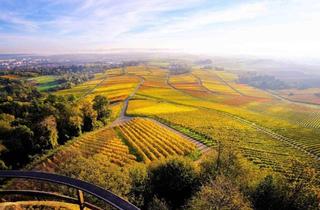 Doppelhaushälfte kaufen in 74211 Leingarten, Leingarten - Doppelhaushälfte mit Einliegerwohnung (Verkauf ohne Makler)