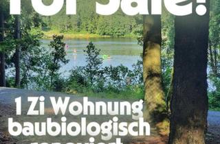 Wohnung kaufen in 95686 Fichtelberg, Fichtelberg - 1-Zi-Wohnung am Fichtelsee baubiologisch neu renoviert