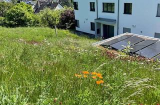 Wohnung mieten in Steinsberg, 56355 Nastätten, Hochwertig, hell, barrierefrei, mit Terrasse und zentrumsnah. 2 Zimmer Wohnung in Nastätten L.