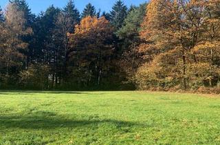 Grundstück zu kaufen in 94255 Böbrach, Für vorausschauende Interessenten - Bauträger: Großes Grundstück mit pos. Bau-Voranfrage in Böbrach