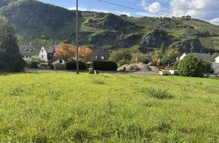 Grundstück zu kaufen in 56843 Burg, Großzügiges Baugrundstück mit schöner Aussicht in Burg, Nähe Traben-Trarbach und Zell