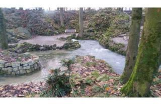 Villa kaufen in 33175 Bad Lippspringe, Villa am Kurpark Bad Lippspringe mit Bürotrakt von privat