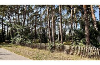 Grundstück zu kaufen in 29475 Gorleben, RUHIGE WOHNLAGE NAHE DER ELBE