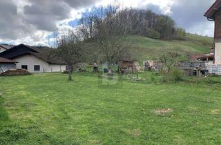 Grundstück zu kaufen in 79677 Schönenberg, NATUR PUR MIT RUHE UND AUSBLICK