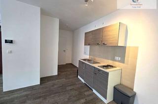 Gewerbeimmobilie mieten in 63450 Hanau, Top-Loftwohnung zum Wohnen und Arbeiten