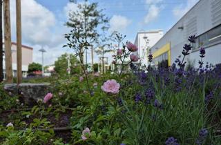 Gewerbeimmobilie mieten in 65824 Schwalbach, Vermietung, 396 m², zentrale Lage order Verkaufen - Franchise-Optikgeschäft