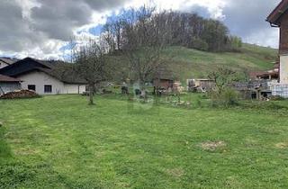 Grundstück zu kaufen in 79677 Schönenberg, NATUR PUR MIT RUHE UND AUSBLICK