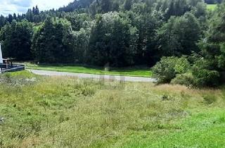 Grundstück zu kaufen in 78730 Lauterbach, BAUGRUNDSTÜCK: GENEHMIGTES EINFAMILIENHAUS