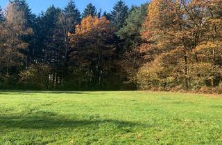 Immobilie kaufen in 94255 Böbrach, Für vorausschauende Interessenten - Bauträger: Großes Grundstück mit pos. Bau-Voranfrage in Böbrach