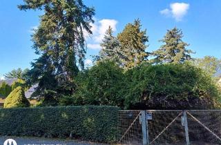 Haus kaufen in 04889 Schildau, Belgern-Schildau - Stadtgrundstück mit Wochenendhaus