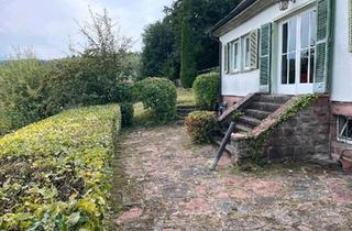 Einfamilienhaus kaufen in 67105 Schifferstadt, Schifferstadt - Haus in 69259 Wilhelmsfeld zum Verkauf