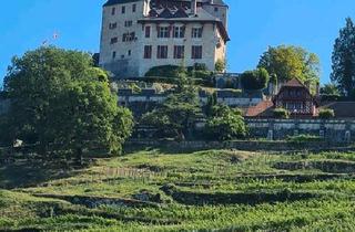 Wohnung kaufen in 55257 Budenheim, Budenheim - Traum(ferien)Wohnung 50 km von GENF