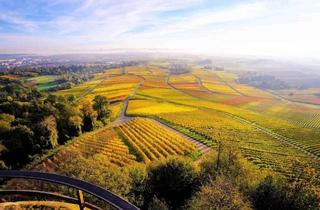 Doppelhaushälfte kaufen in 74211 Leingarten, Doppelhaushälfte - Ideal für Ihre Familie!