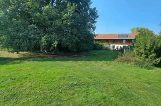 Haus kaufen in 14662 Wiesenaue, Sehr großes Anwesen mit Bauerhaus (Hof) in wunderbarer Natur -Pferdehaltung möglich-