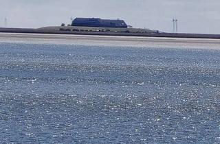Haus kaufen in 25863 Langeneß, Wohn u. Wirtschaftsgebäude mit Weitblick 13 ha Grünland