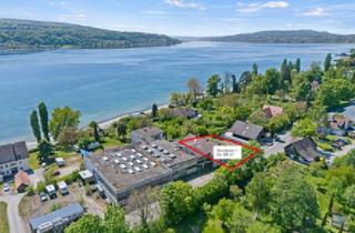 Grundstück zu kaufen in 78479 Reichenau, Insel Reichenau, Baugrundstück, Toplage