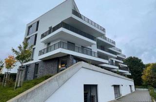 Wohnung mieten in Lenzhahner Weg, 65527 Niedernhausen, Exklusive 3-Zimmer Wohnung im 1. OG mit großem Balkon in Niedernhausen